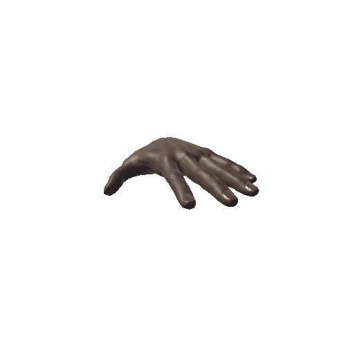 Left Male Hand_Very Dark